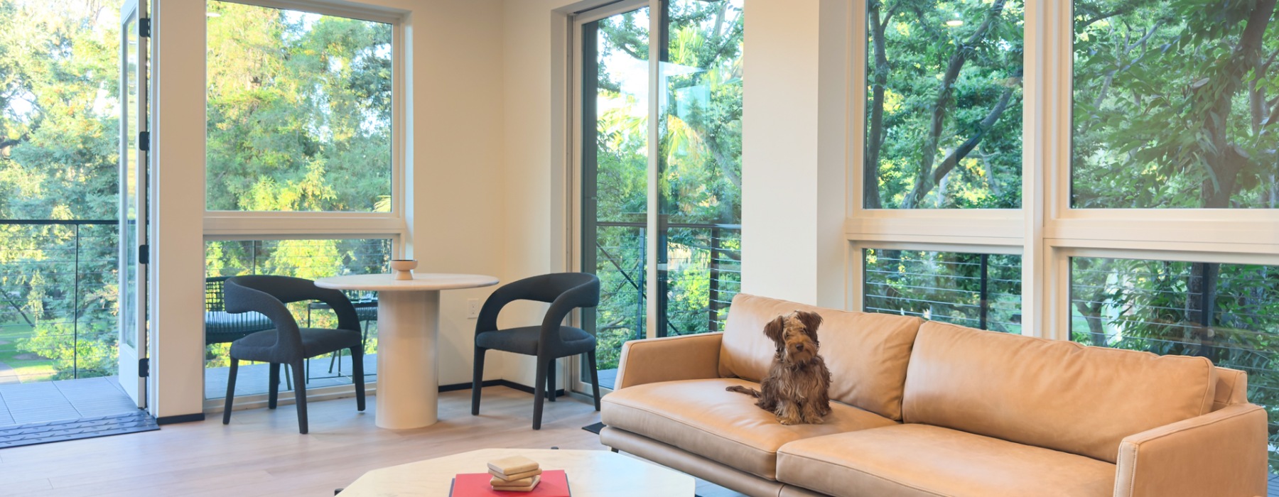 open furnished living space with large windows and dog laying on a couch