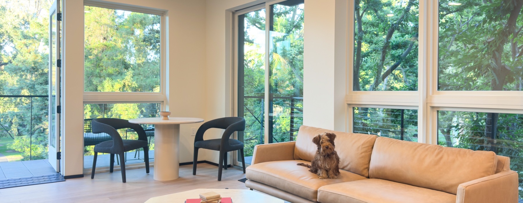 open furnished living space with large windows and dog laying on a couch